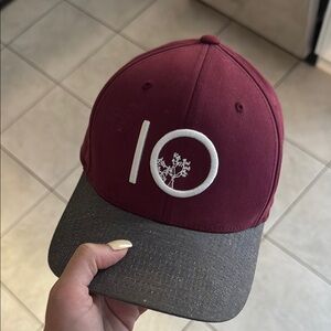tentree Burgundy and Gray Cap
